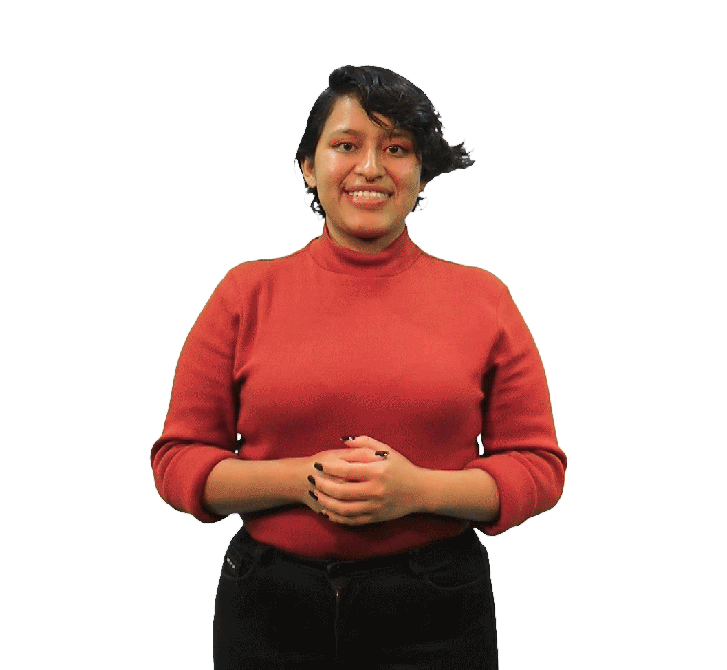 Portafolio-de-servicios.gif